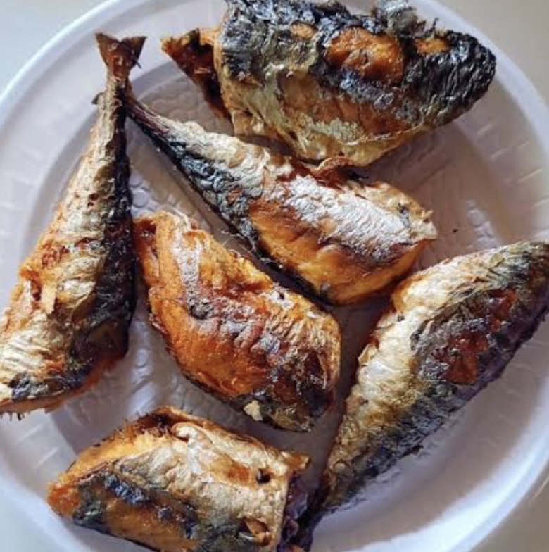 Fish