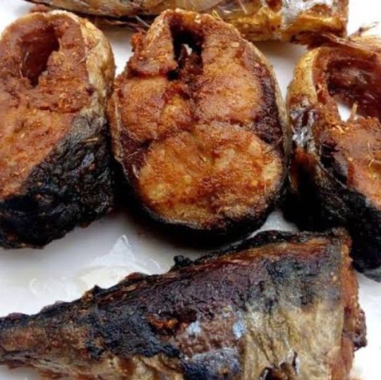 Fish