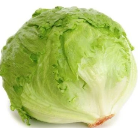 Lettuce Base