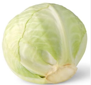 White Cabbage Base