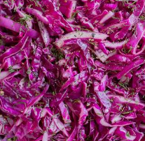 Purple Cabbage