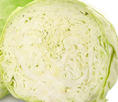 white Cabbage