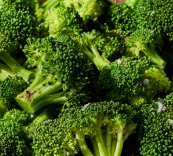 Brocolli