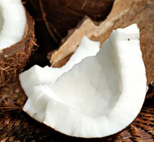 Coconut