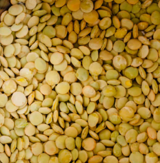 Lentils