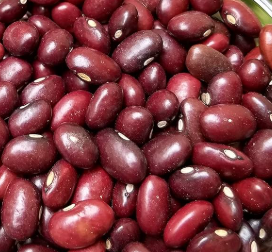 Kidney Beans