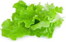Lettuce