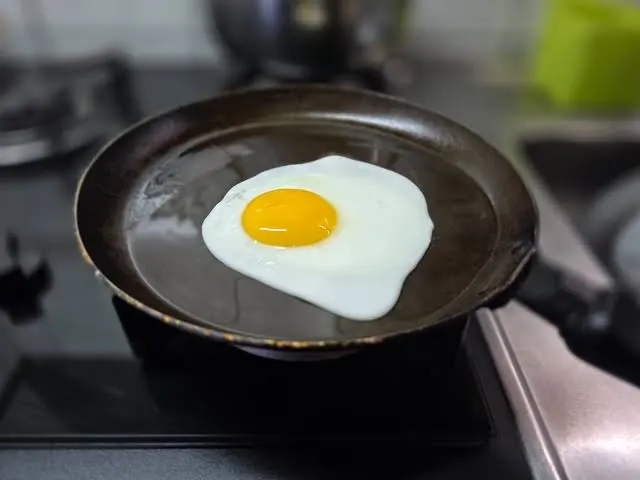 egg